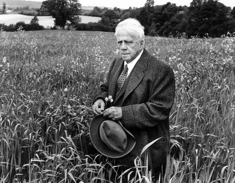 Robert Frost in wheat field