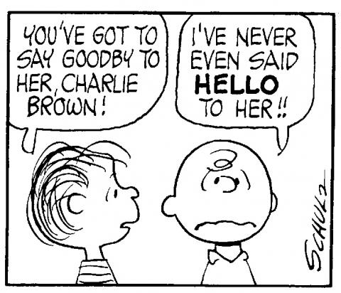 popcult peanuts charlie brown linus love unrequited conversation detail