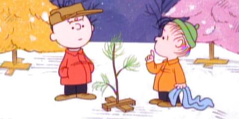 tv cbc charlie brown tree linus