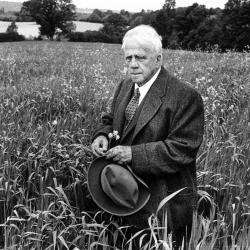 Robert Frost in wheat field