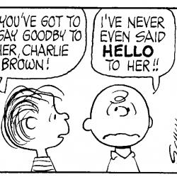 popcult peanuts charlie brown linus love unrequited conversation detail