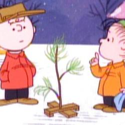 tv cbc charlie brown tree linus